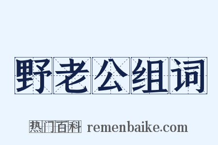 野老公组词是什么意思的图片